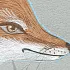 Обои FOXY фото 3