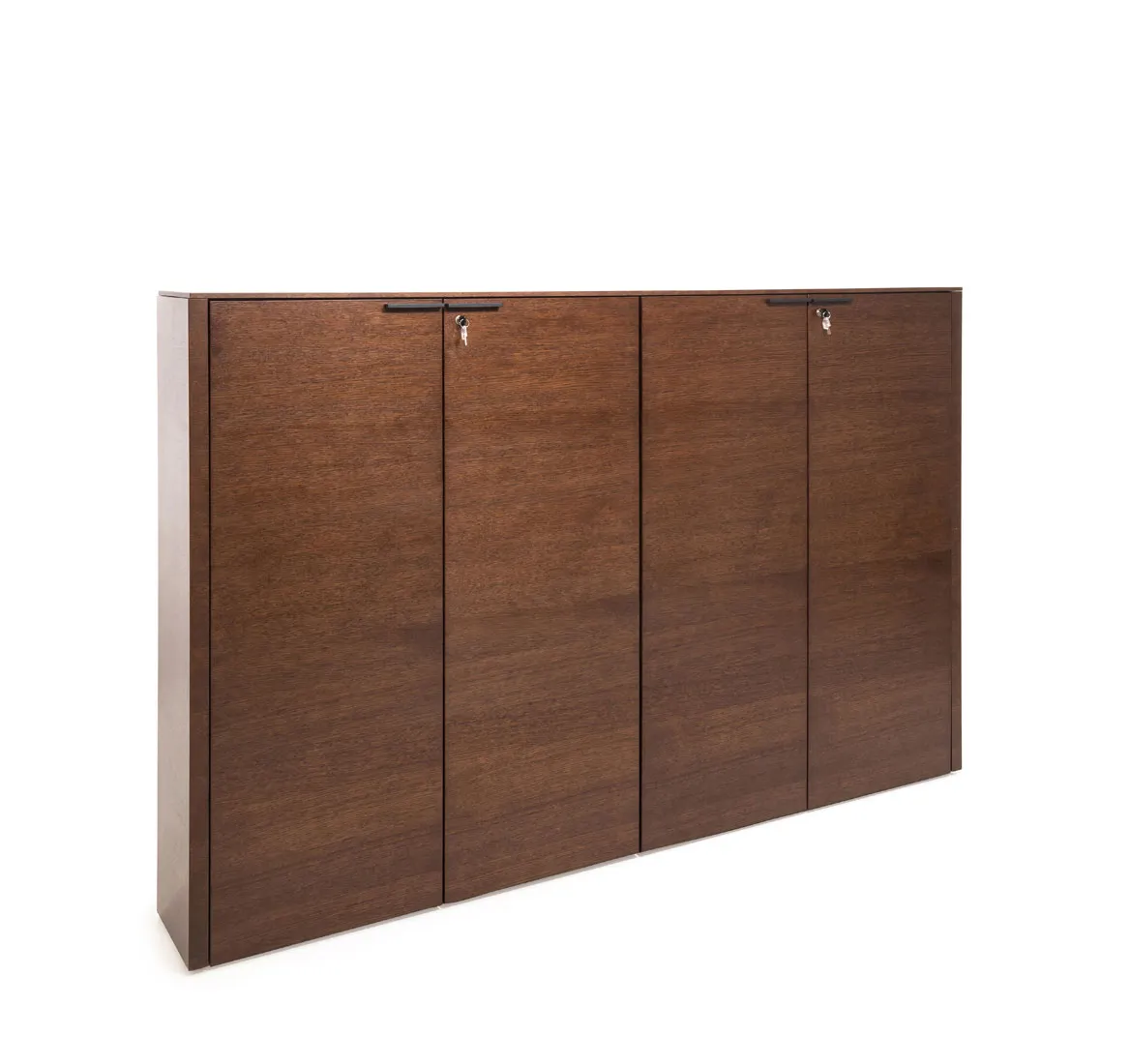 Шкаф для бумаг х2 RAIL фото 0